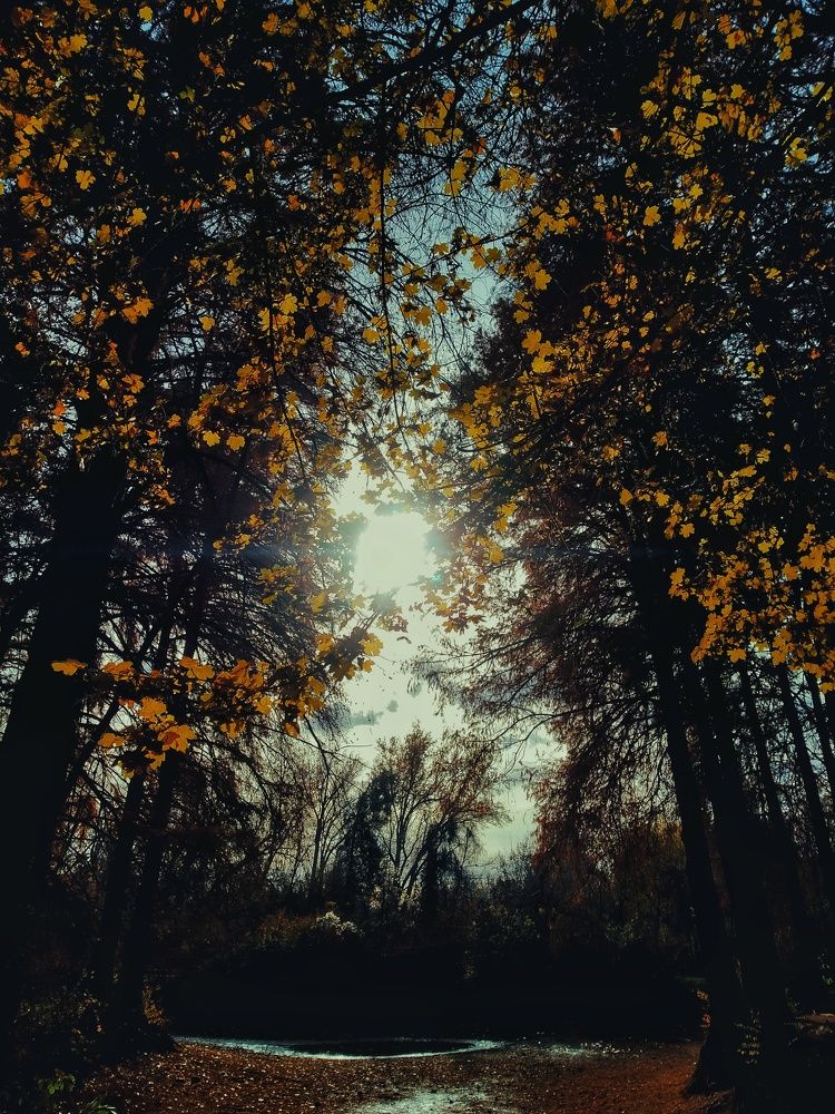 Photograph by Anastasiya Danilova