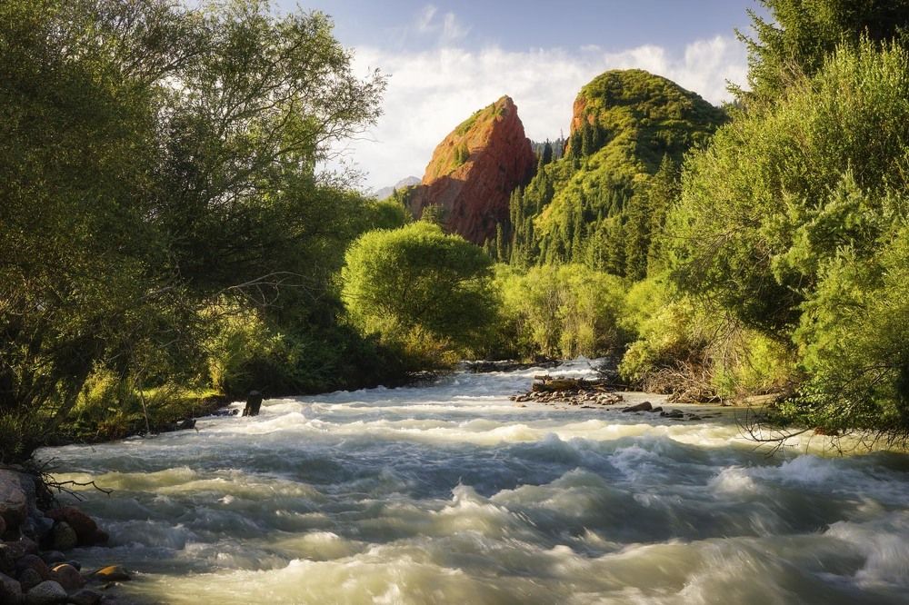 Фотография автора Татьяна Добровольская