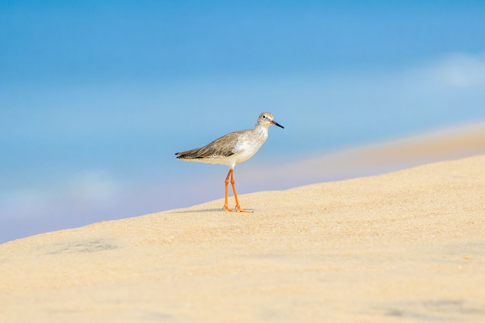 Photograph by Abhijith VG