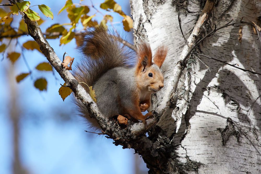 Photograph by Константин Кузнецов