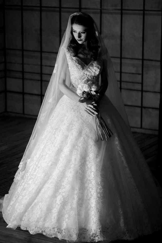 Фотография автора Hamidreza Saedi