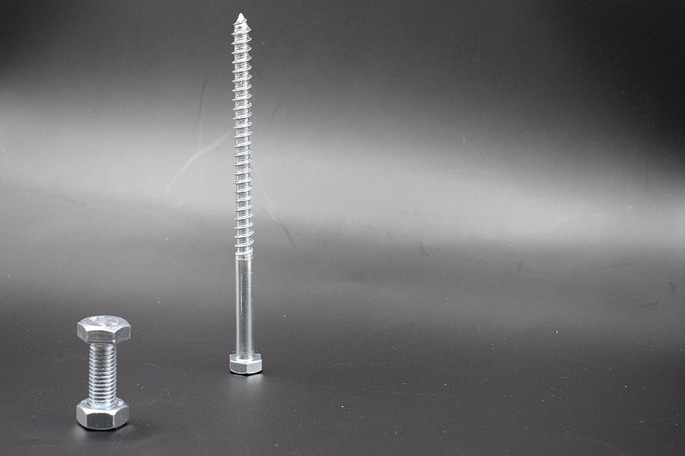 Photograph by Cristian Mirescu