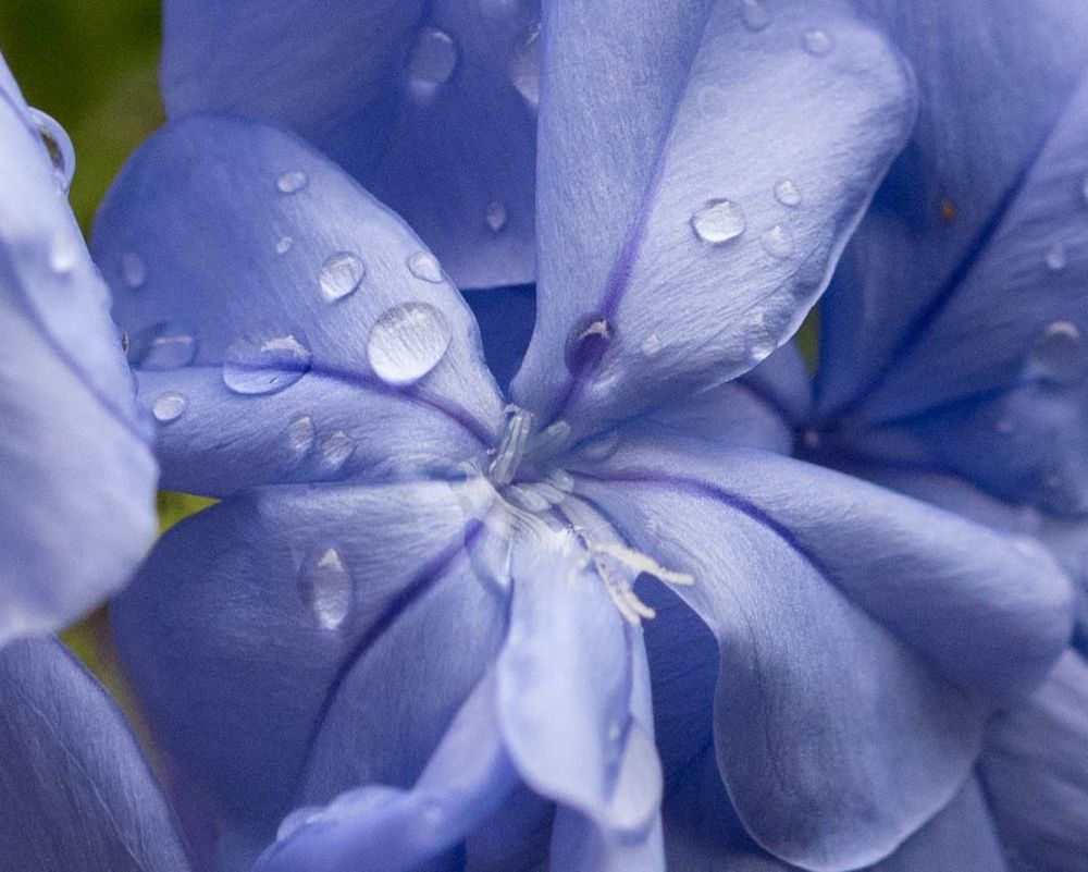 Фотография автора DIMITRIS MPAZIOTOPOULOS