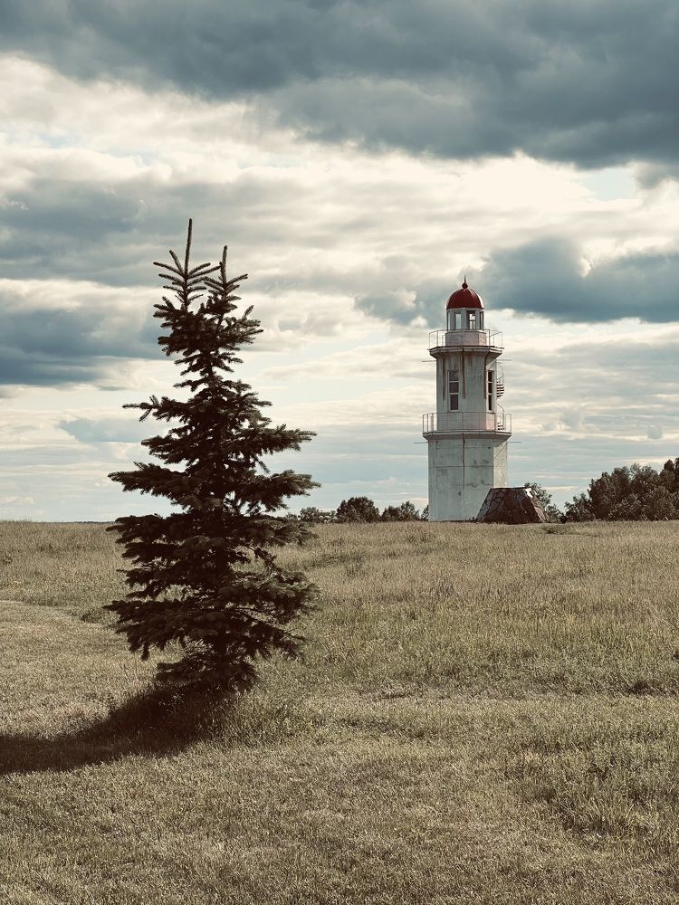 Фотография автора Алёна Шипачёва