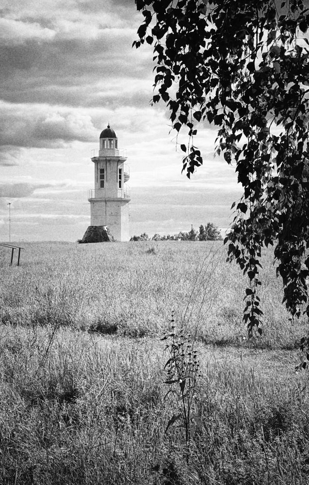 Фотография автора Алёна Шипачёва