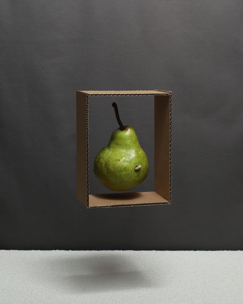 Photograph by Соколова Ирина