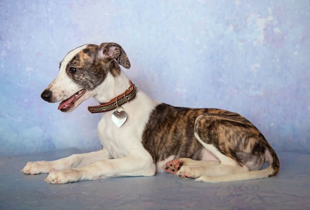 Photograph by Анастасия Рысь