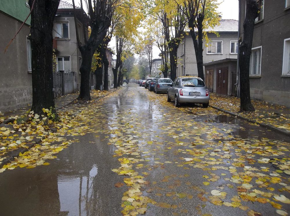 Photograph by Георги Колев