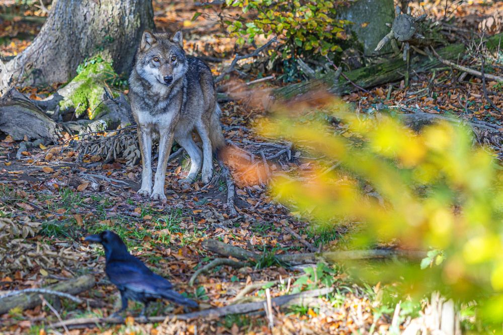 Photograph by Stanislav Strisovsky