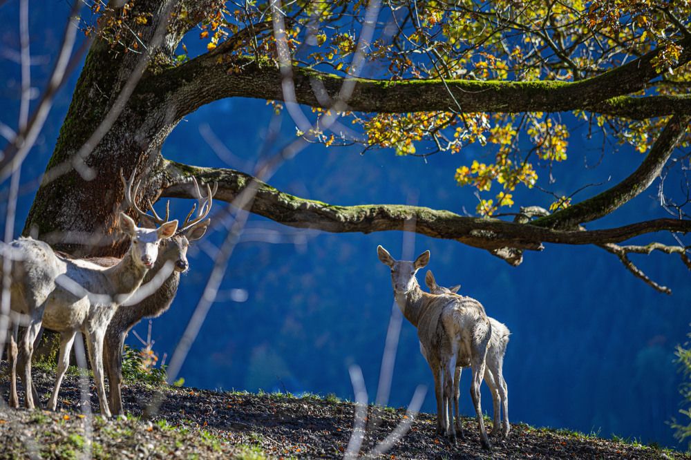 Photograph by Stanislav Strisovsky