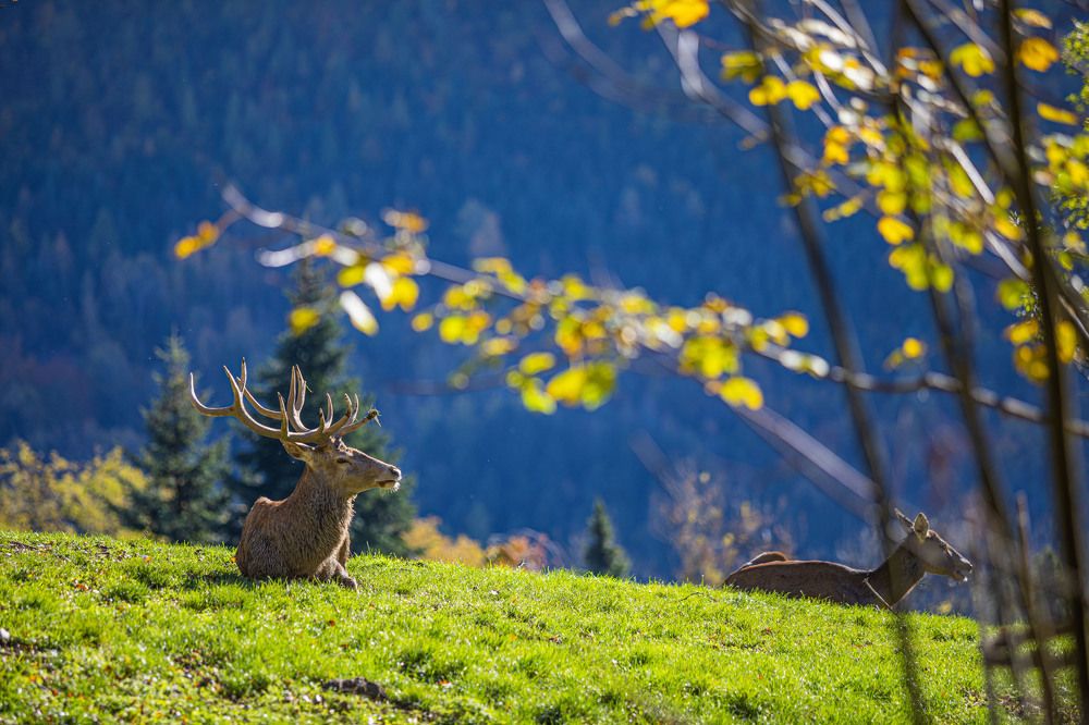 Photograph by Stanislav Strisovsky