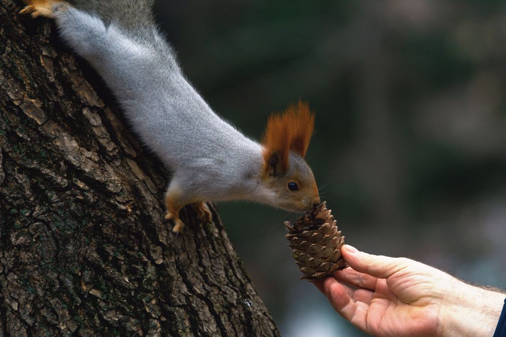 Photograph by Александр Перегудов