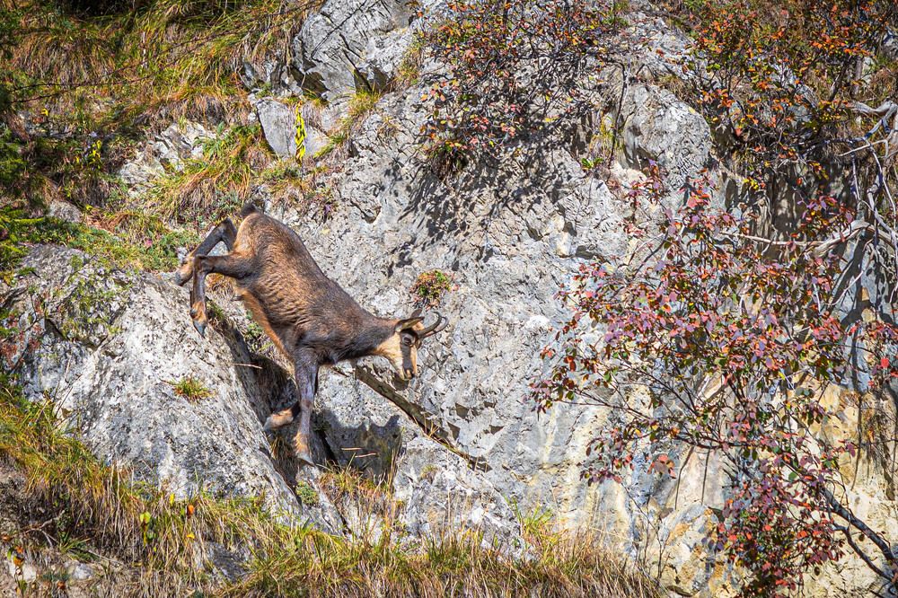 Photograph by Stanislav Strisovsky