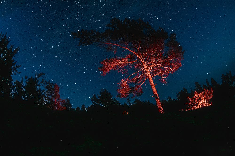 Photograph by Георгиевская Елена