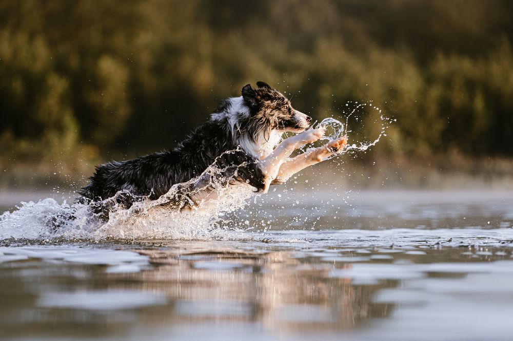 Photograph by Мария Калинина