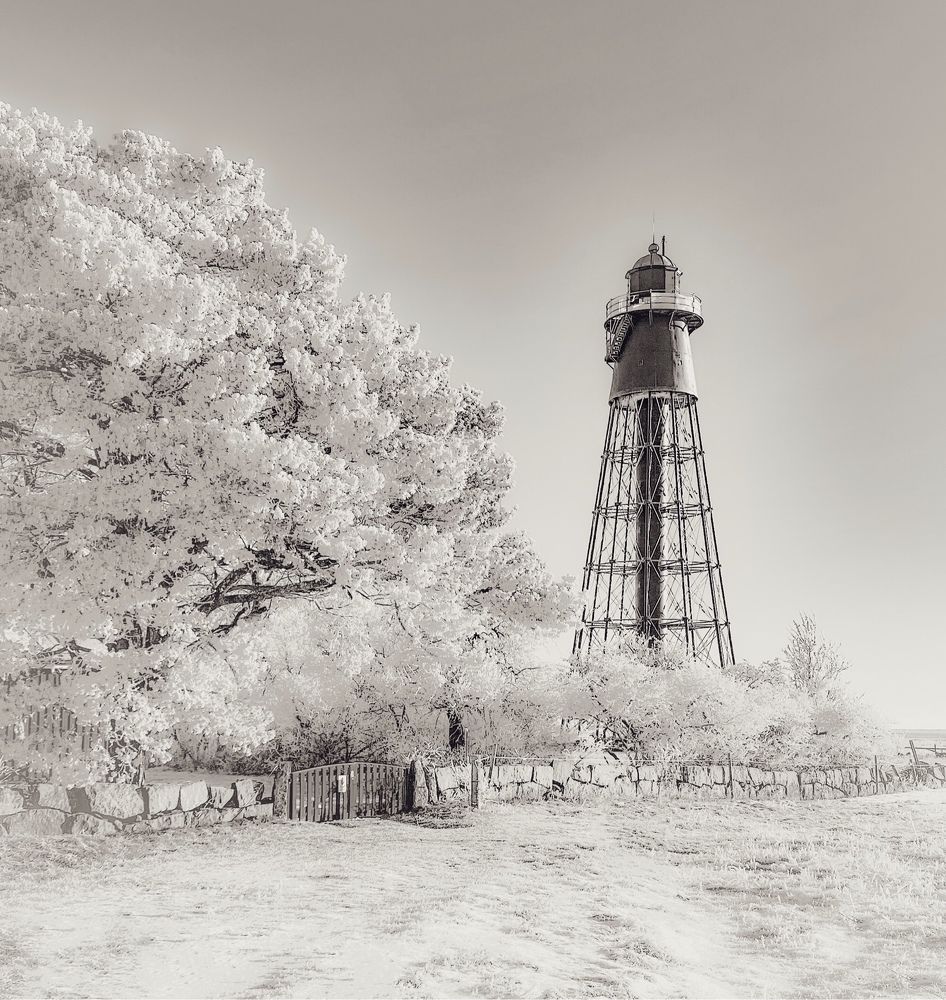 Photograph by Janina Segeda