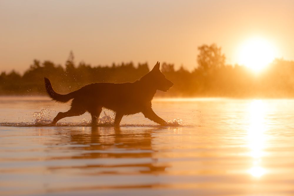 Photograph by Мария Калинина