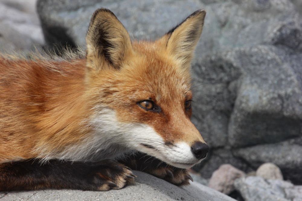 Photograph by Лада Денисова