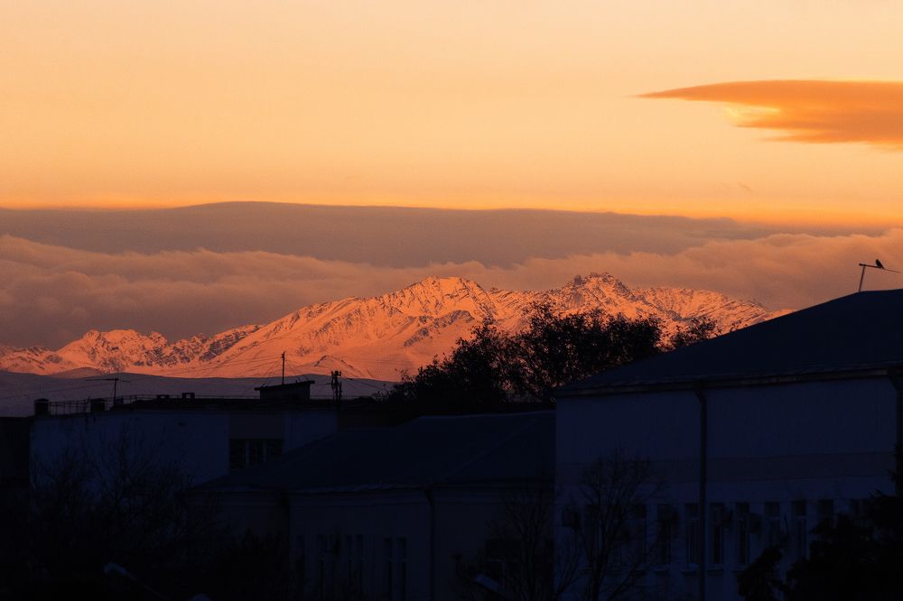 Photograph by Сергей Удовиченко