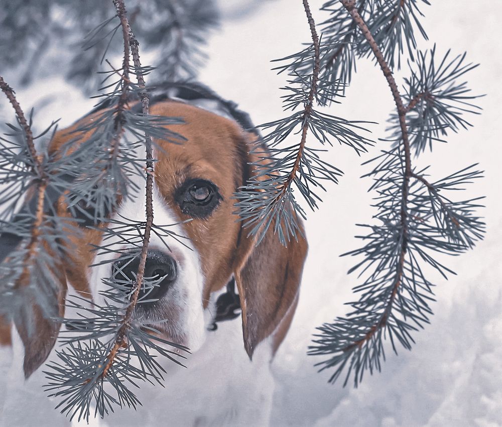 Photograph by Ирина Ахбаш