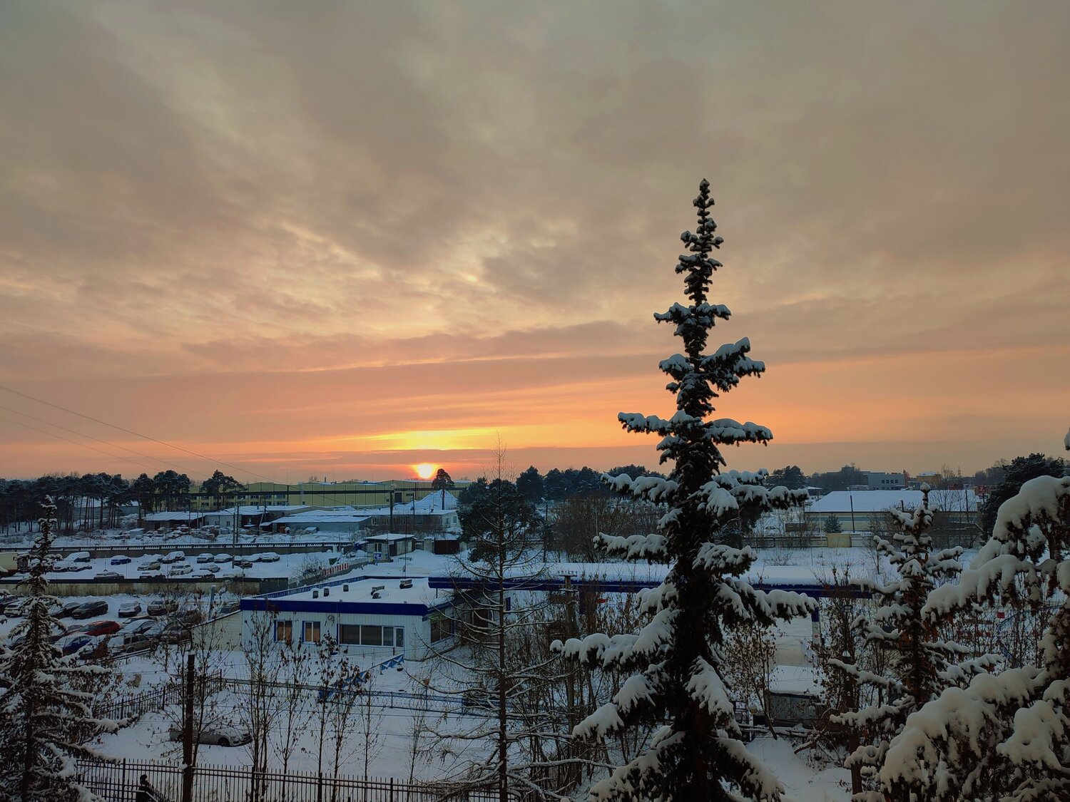 Photo #9936911