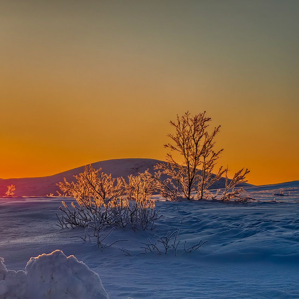 Фотография автора Елена Гинцберг