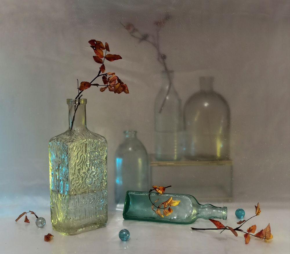 Photograph by Новикова Елена Сергеевна