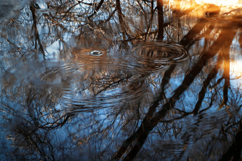 Photograph by Сергей Удовиченко