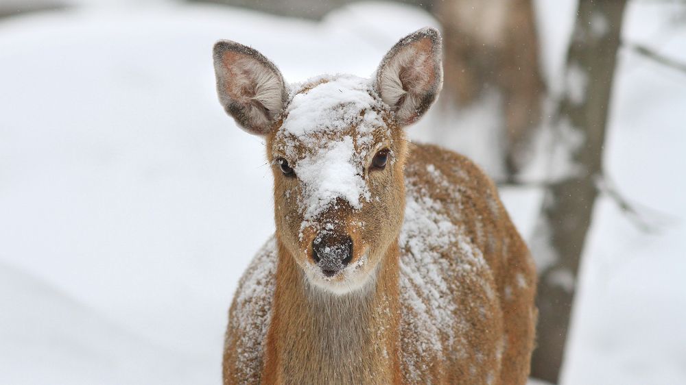 Фотография автора Михаил Крюков