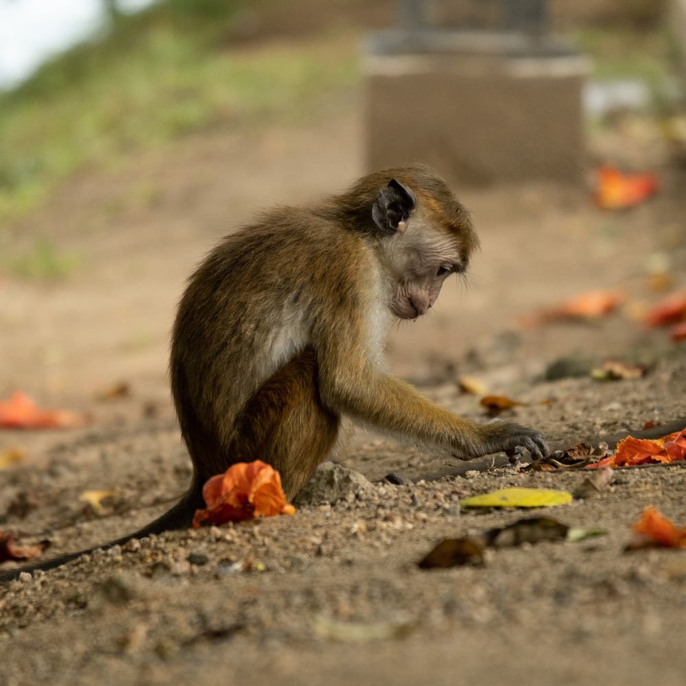 Photograph by Михаил Азаров