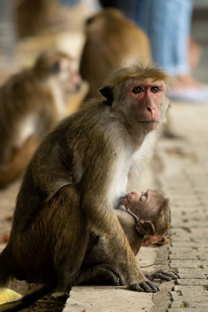 Photograph by Михаил Азаров