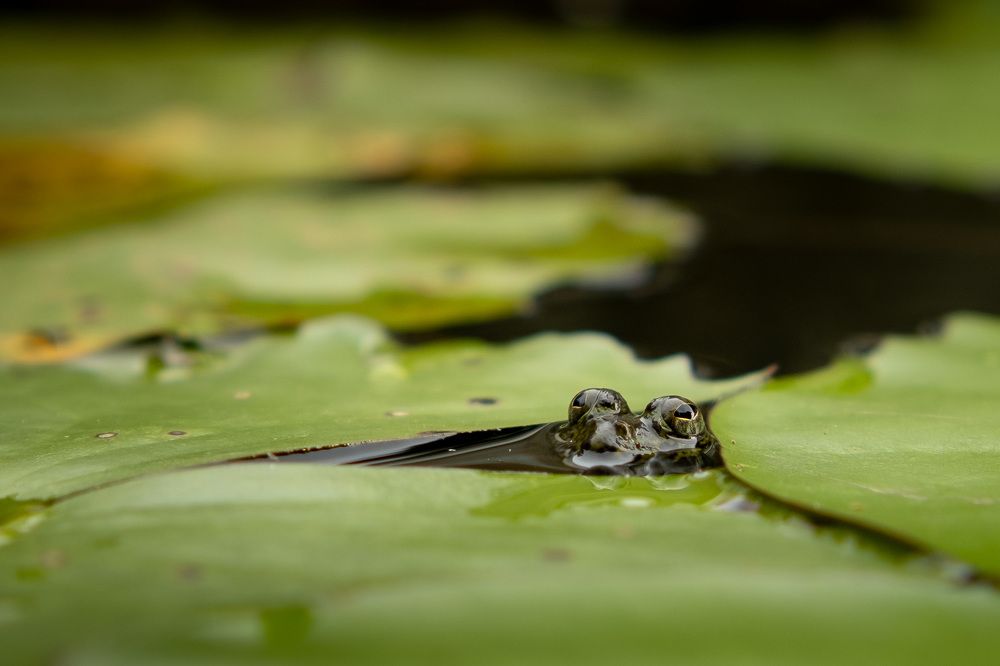 Photograph by Михаил Азаров