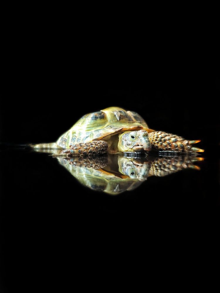 Photograph by Natalia Sopoćko