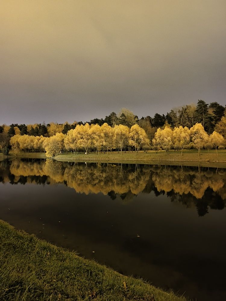 Photo #9937156
