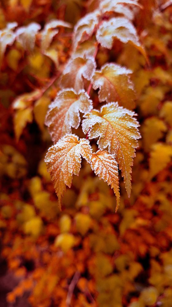 Photograph by Валентина Маслова