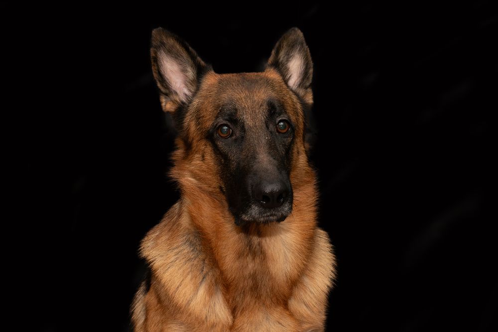 Photograph by Любовь Головина