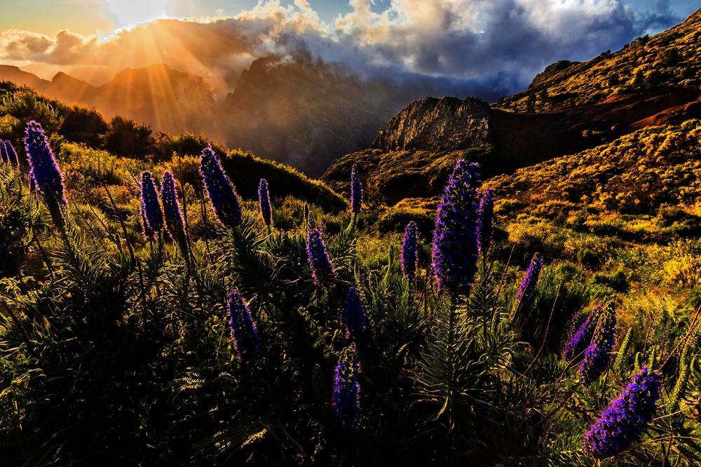 Photograph by Jiří Hakauf