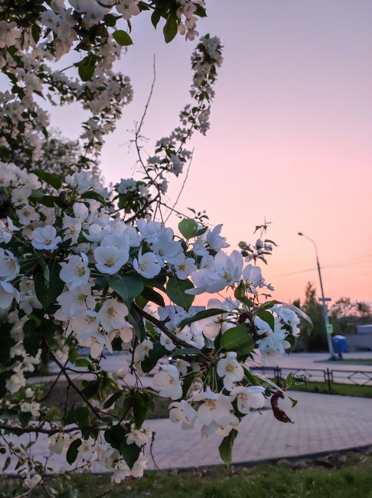 Photograph by Татьяна Никулина