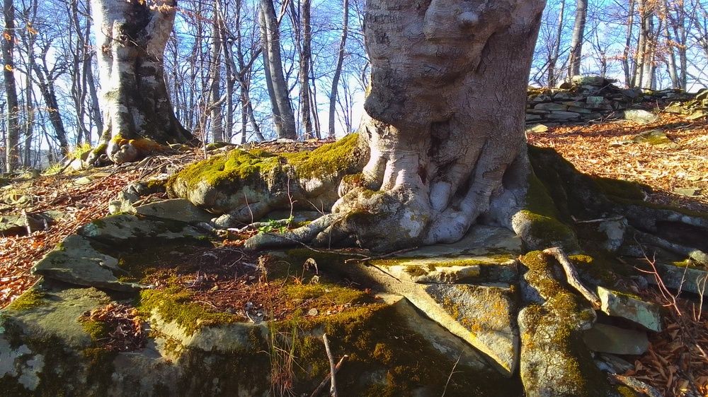 Photograph by Сергей Смоленцев