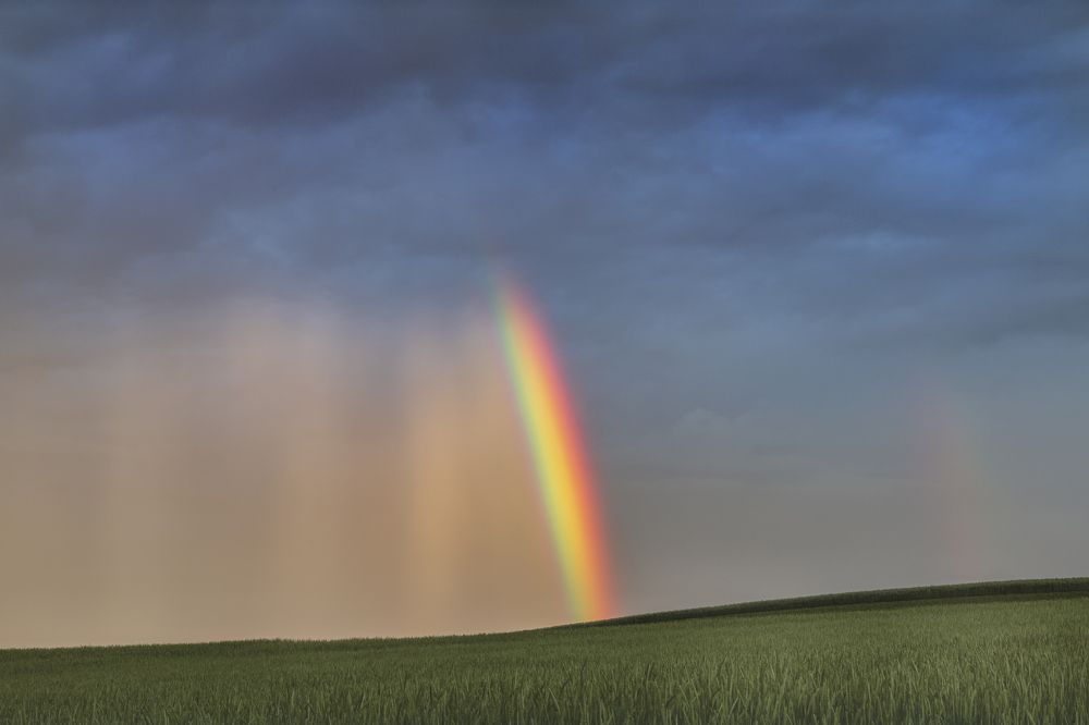 Rainbow over the fields