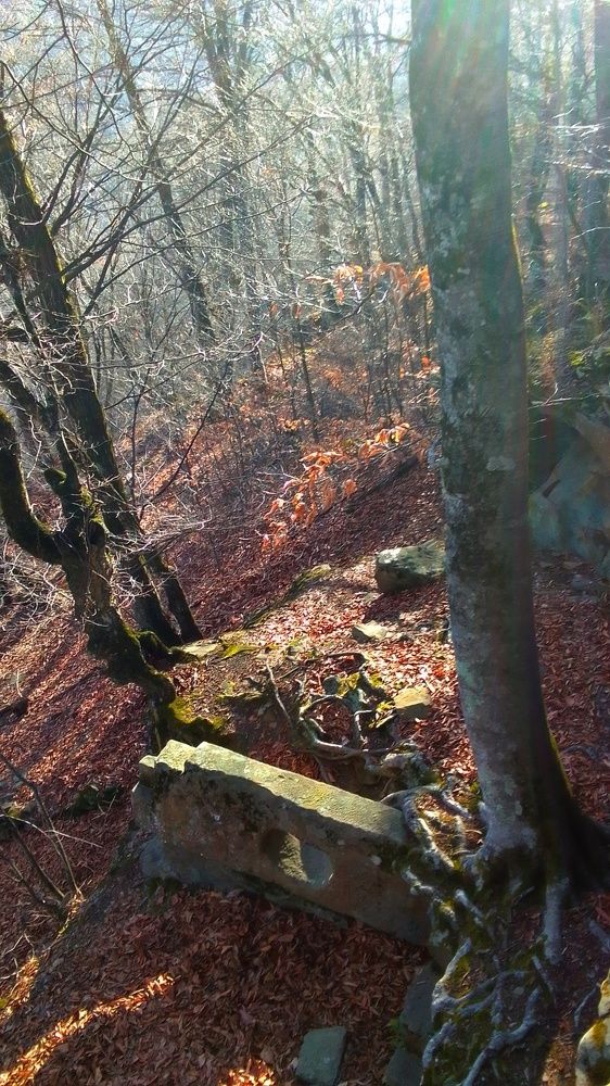 Photograph by Сергей Смоленцев