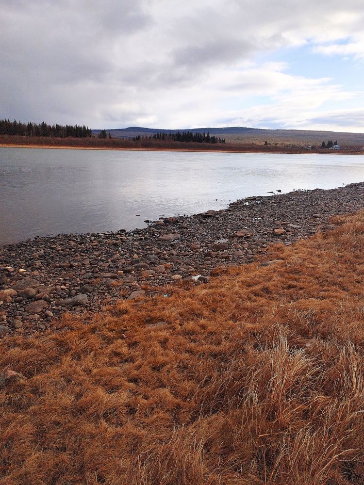 Photo #9937287