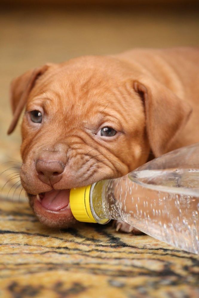 Photograph by Руслан