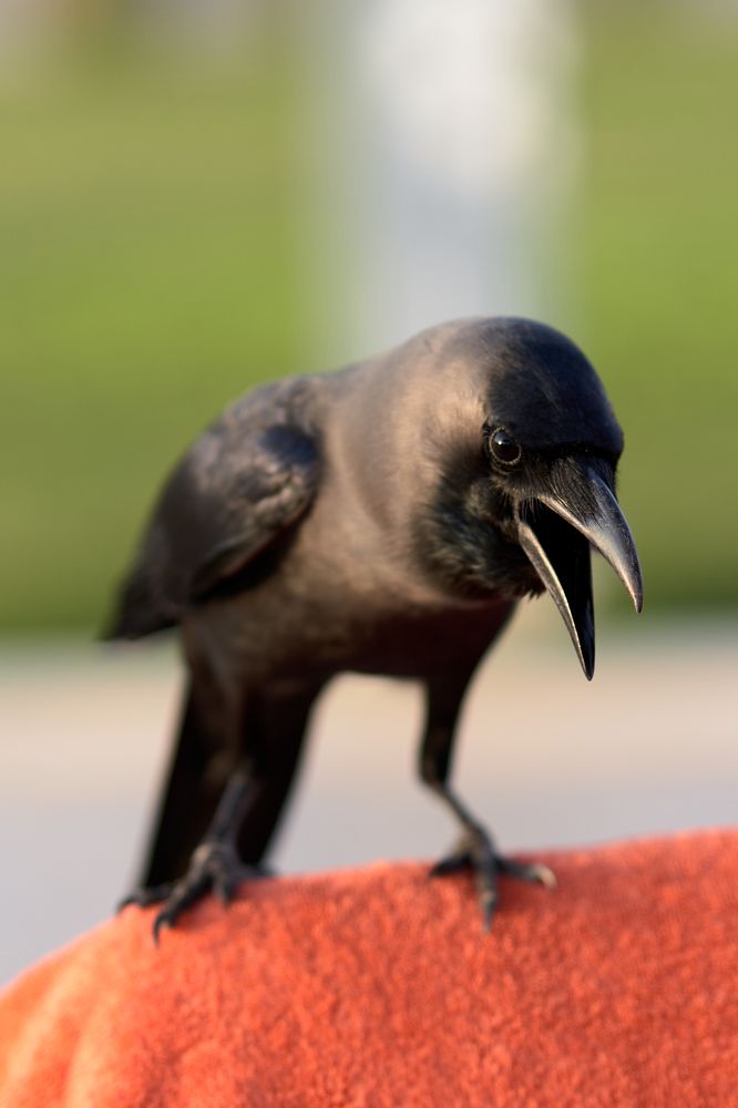 Photograph by Дмитрий Иконников