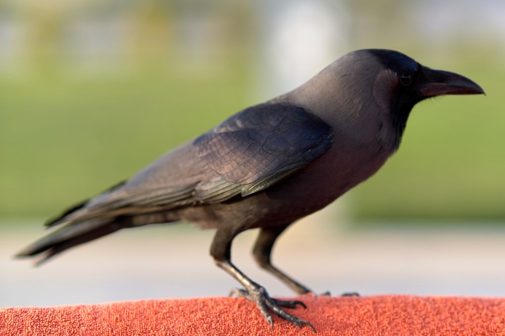 Photograph by Дмитрий Иконников