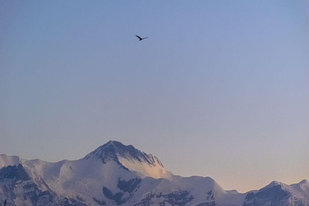 Photograph by Bondhu Dey