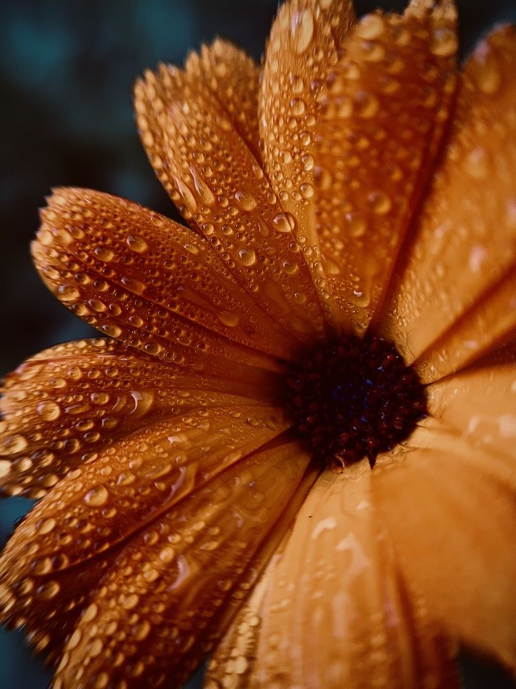 Photograph by Юлия