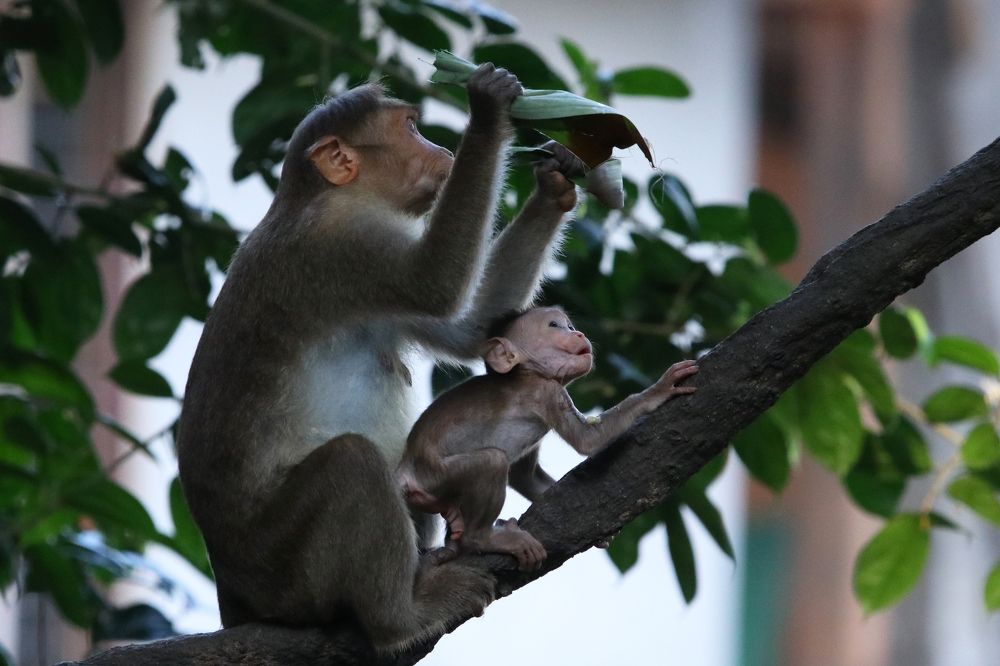 Photograph by Jemy Jose Mathew