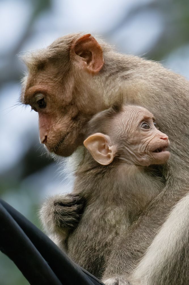 Photograph by Ashik S