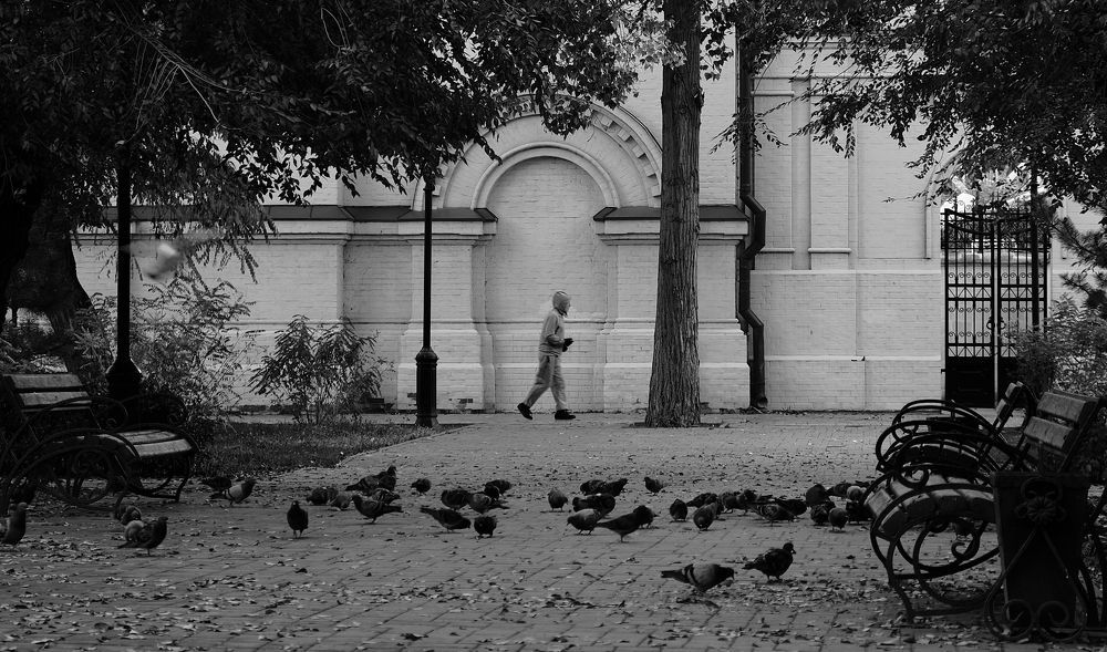 Photograph by Арсен Волынкин